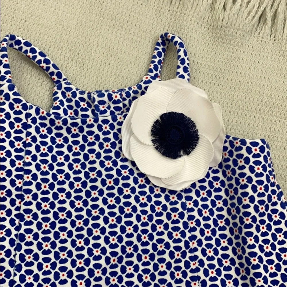 Janie and Jack drop waist dress